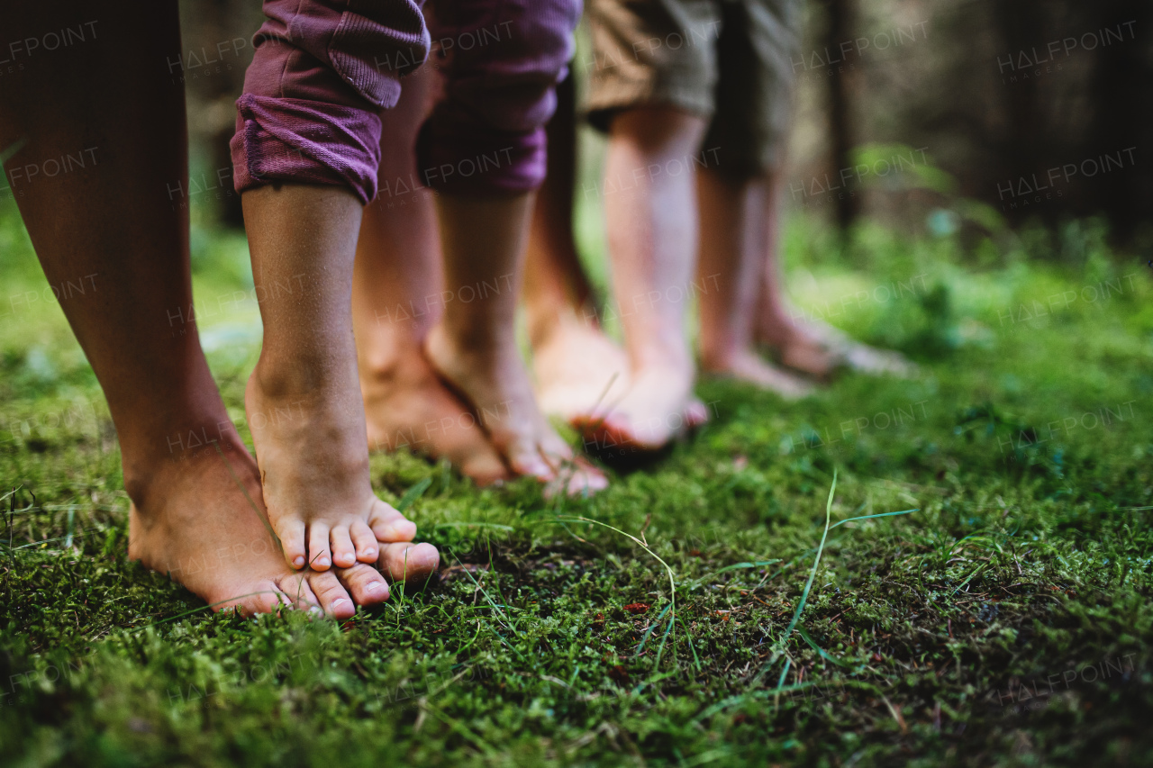 Bare feet of family with small children standing barefoot outdoors in nature, grounding and forest bathing concept.