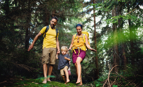 Family with small children walking barefoot outdoors in summer nature, forest bathing concept.