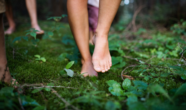 Bare feet of family with small children standing barefoot outdoors in nature, grounding and forest bathing concept.