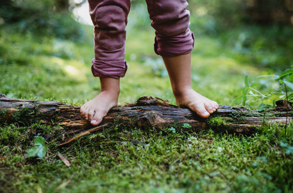 Bare feet of small child standing barefoot outdoors in nature, grounding and forest bathing concept.