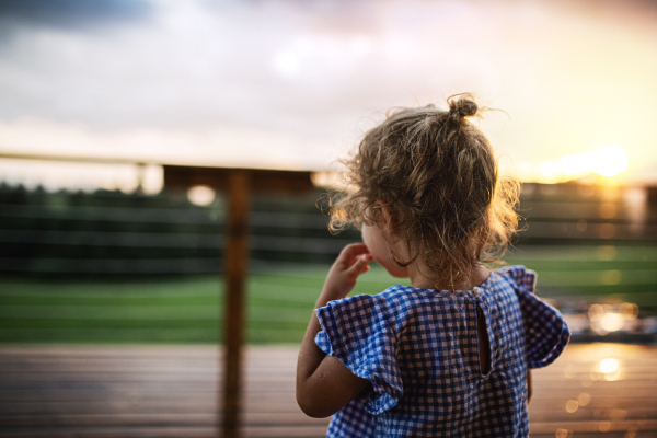 A rear view of small girl outside at dusk, holiday in nature concept.