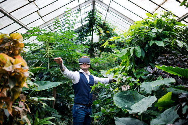 A front view of young man standing in botanical garden, using VR glasses.