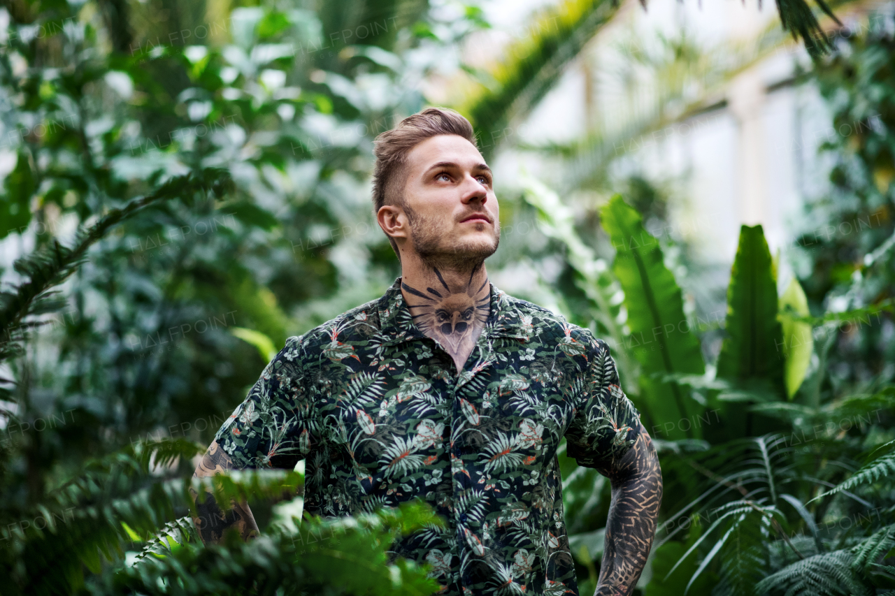 A young man standing in botanical garden, looking up.