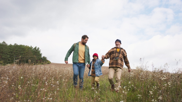 Three generations of men walking together at the meadow, discovering nature.