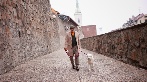 A happy elegant senior man walking his dog outdoors in historic city.