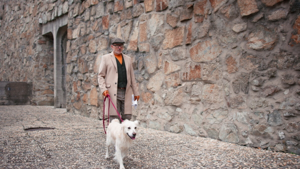 A happy elegant senior man walking his dog outdoors in historic city.