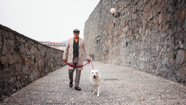 A happy elegant senior man walking his dog outdoors in historic city.