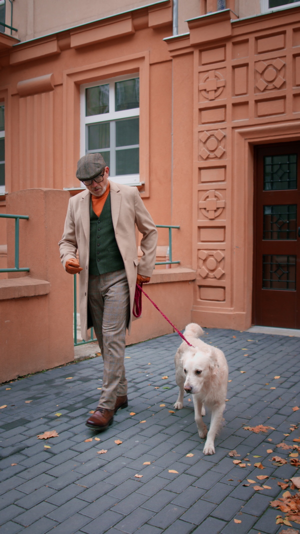 A vertical footage of senior man walking his dog and giving him treat outdoors in city.