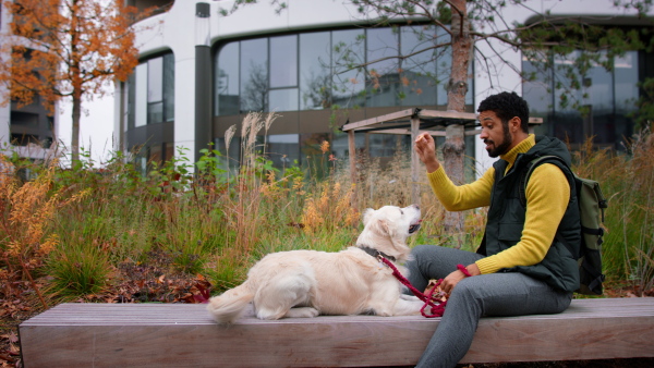 A side view of young man sitting on bench and training his dog outdoors in town.