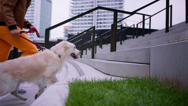 A low section of young man running upstairs with his dog outdoors in city.