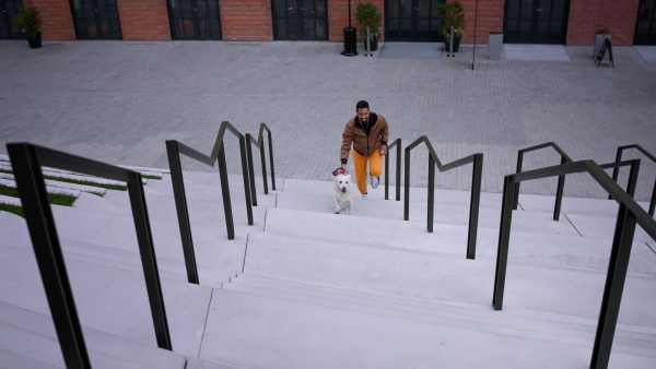 A high angle view of happy young man running upstairs with his dog outdoors in city.