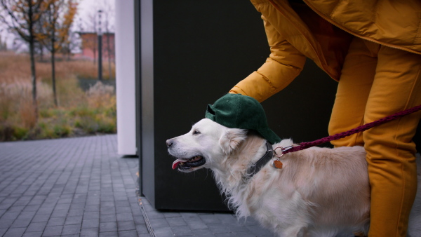 An unrecognizable young man playing with his dog during walk outdoors in city in winter.