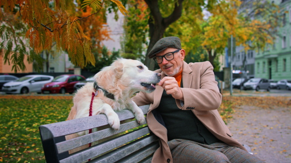 A happy senior man sitting on bench and playing with his dog, giving him treat outdoors in park.