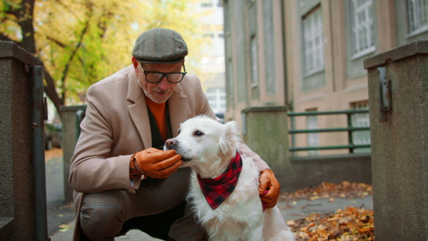 A happy senior man feeding his dog and looking at camera during walk outdoors in city.