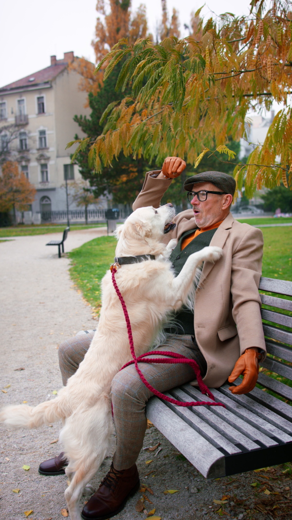 A vertical footage of happy senior man sitting on bench and giving treat to his dog walk outdoors in city.