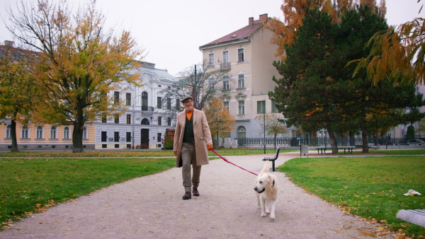 A happy senior man looking at camera and walking his dog outdoors in city.