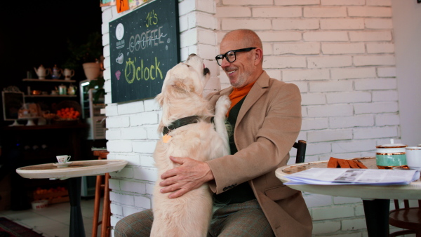 A happy senior man sitting in cafeteria and giving a treat to his dog.