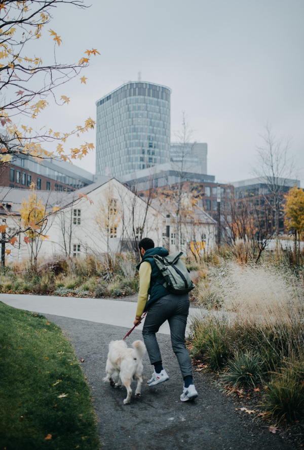 A rear view of young man running with his dog on leash outdoors in city park.