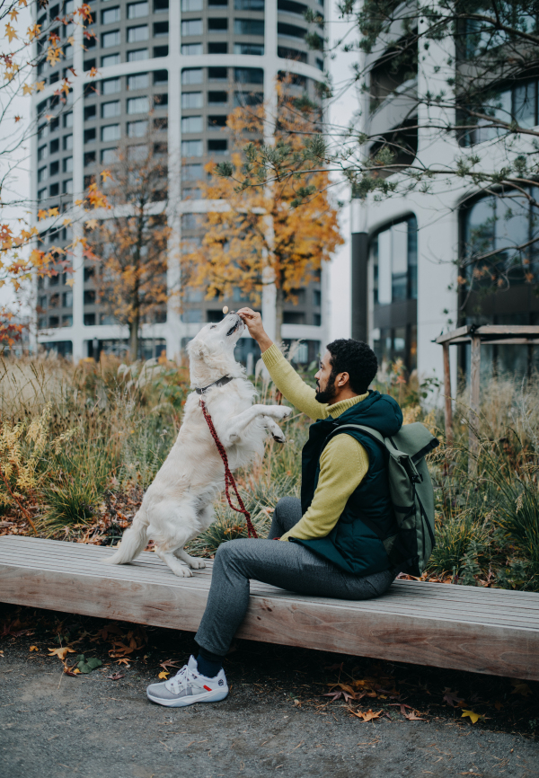 A side view of young man sitting on bench and training his dog outdoors in town.