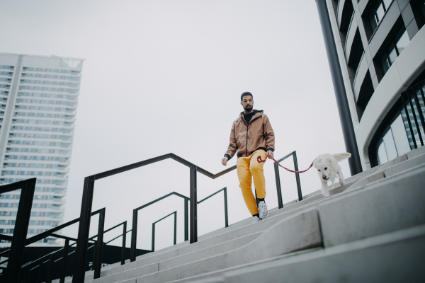 A low angle view of young man walking his dog downstairs outdoors in city.