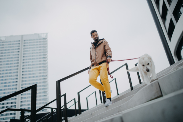 A low angle view of happy young man walking his dog outdoors in city.