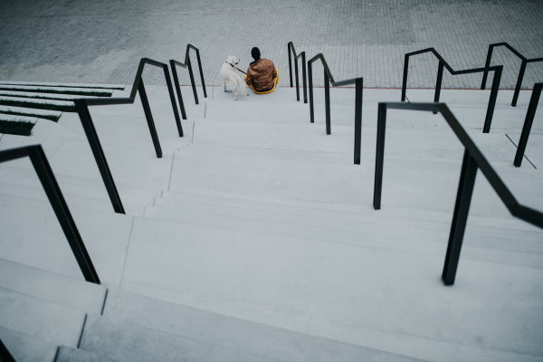 A high angle view of happy young man sitting with his dog outdoors in city staircase.