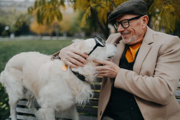 A happy senior man sitting on bench and embracing his dog outdoors in park in city.