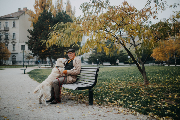 A happy senior man sitting on bench training and stroking his dog outdoors in city.