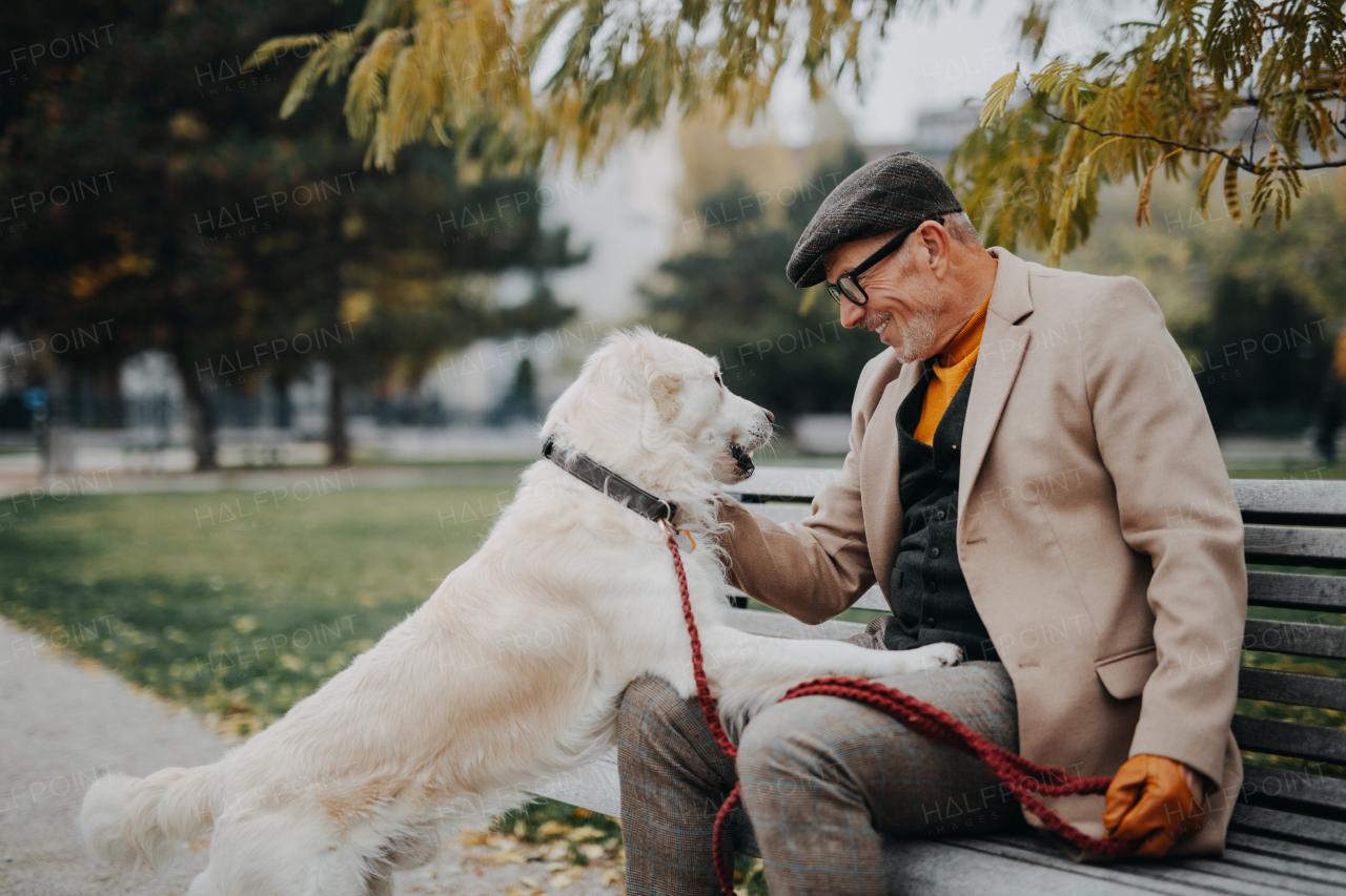 A happy senior man sitting on bench and embracing his dog outdoors in park in city.