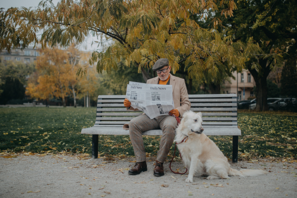 A happy senior man sitting on bench and reading newspaper during dog walk outdoors in park in city.