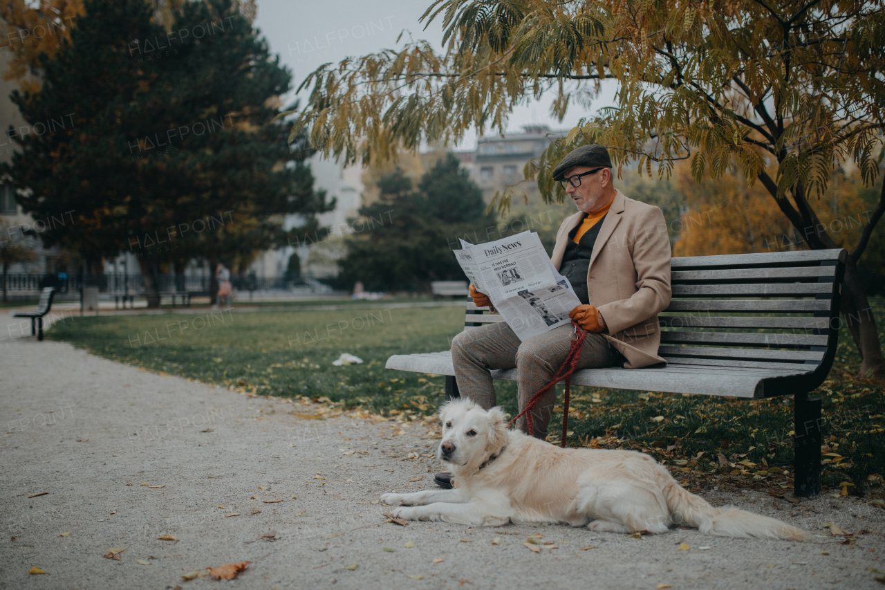 A happy senior man sitting on bench and reading newspaper during dog walk outdoors in park in city.