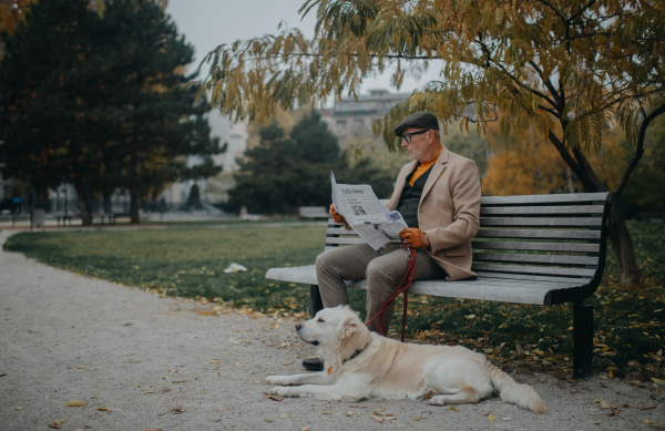 A happy senior man sitting on bench and reading newspaper during dog walk outdoors in park in city.