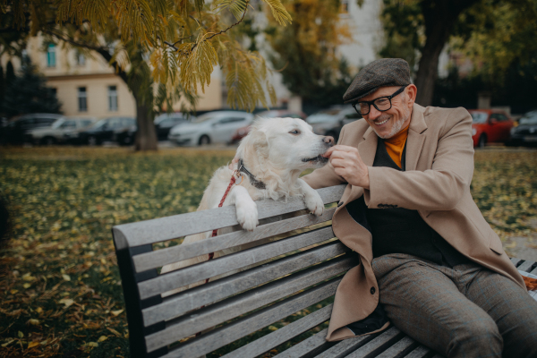 A happy senior man sitting on bench and resting during dog walk outdoors in city.