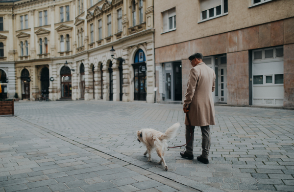 A side view of elegant senior man with take away coffee walking his dog outdoors in city in winter.