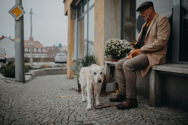 Unhappy senior man sitting on a bench in front of store and waiting somebody wih his big white dog