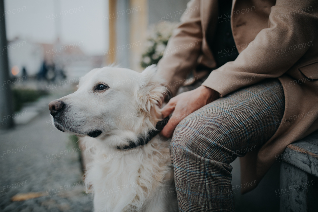 A midsection of unrecognizable senior man sitting on bench and resting during dog walk outdoors in city.