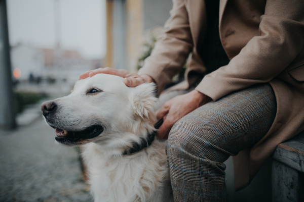 A midsection of unrecognizable senior man sitting on bench and resting during dog walk outdoors in city.