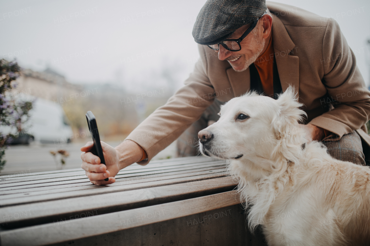 A happy senior man sitting on bench and taking selfie with his dog outdoors in city.