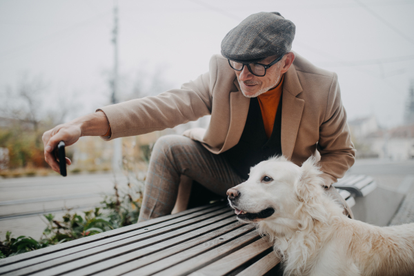 A happy senior man sitting on bench and taking selfie during dog walk outdoors in city.