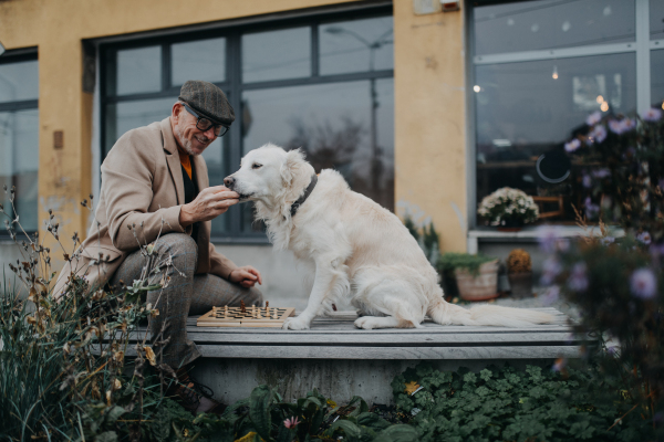 A happy senior man sitting on bench and and feeding his dog outdoors in city.