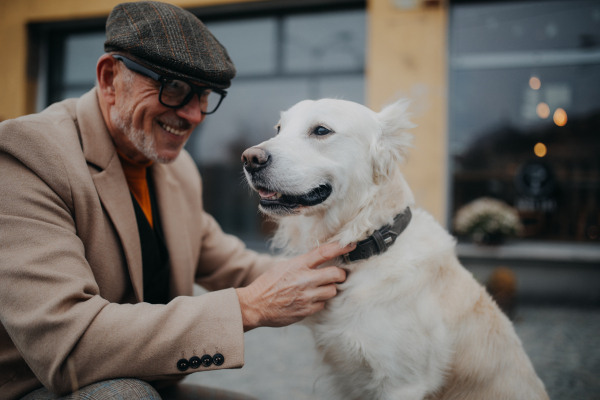 Happy senior man giving collar to his dog during walk outdoors in city.