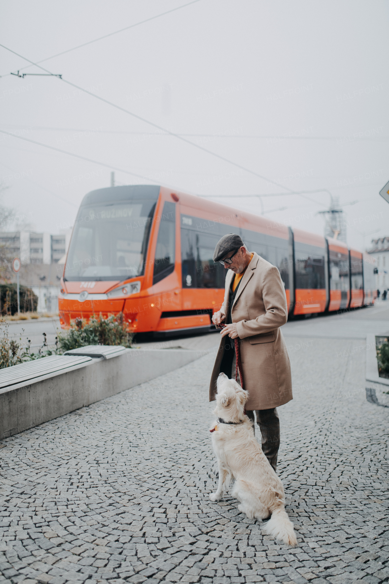 A happy elegant senior man walking and training his dog outdoors in city.