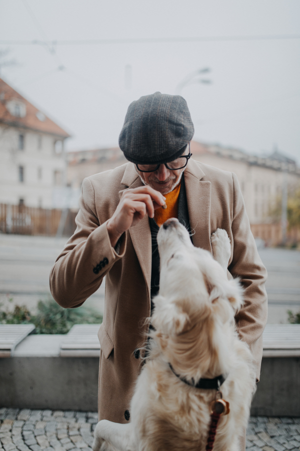 Happy senior man in elegant clothes training his white dog in city during autumn day.