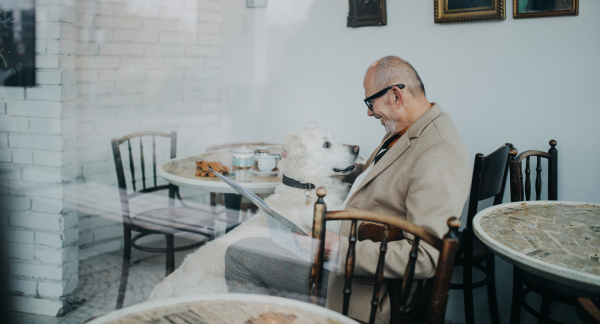 A happy senior man sitting in cafeteria and with his huge dog.