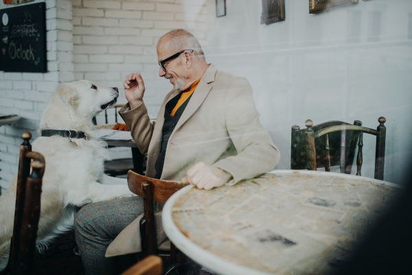 A happy senior man sitting in cafeteria and playing with his dog, shot through glass.