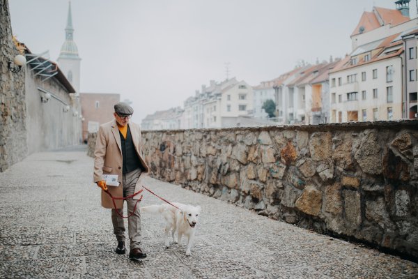 A happy elegant senior man walking his dog outdoors in city.