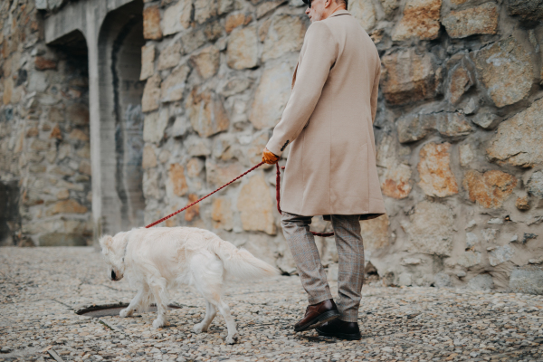 A low section of elegant senior man walking his dog outdoors in city.