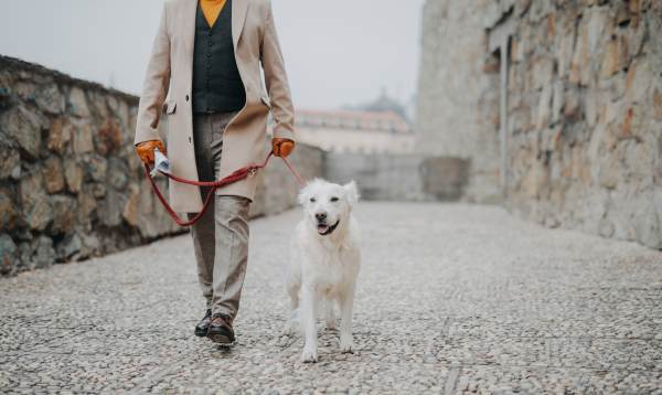 A low section of elegant senior man walking his dog outdoors in city.