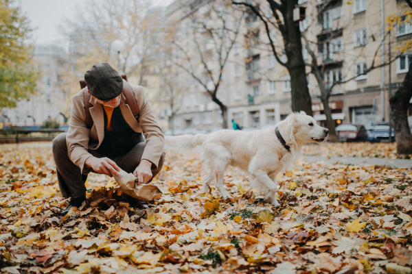 A senior man cleaning his dog's waste outdoors in park on autumn day.