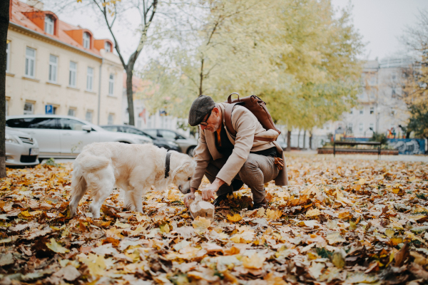 Dog owner picking excrements in the paper bag during walking in autumn citypark.